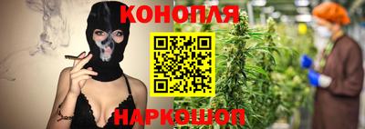 шишки Балашиха