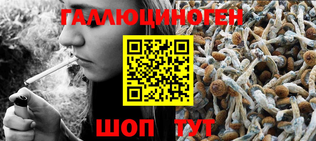 Верхний Уфалей  Галлюциногенные грибы GOLDEN TEACHER  Вход с VPN 