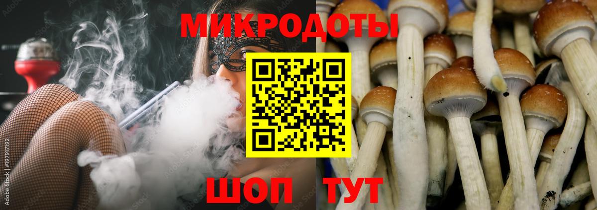 Галлюциногенные грибы MAGIC MUSHROOMS Верхний Уфалей